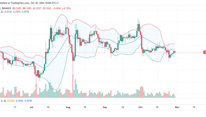 XRP Daily Chart for October 30