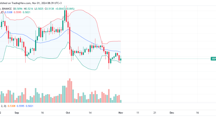 XRP Daily Chart for November 1