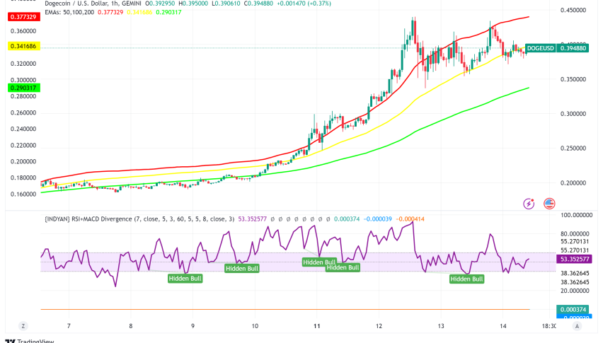 Dogecoin Surges Past Fortune 500 Companies as Trump Taps Musk for 'DOGE' Department