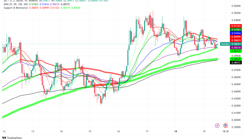 Sei Network Shows Strong Growth in Q3 2024, Secures Major Gaming Partnership