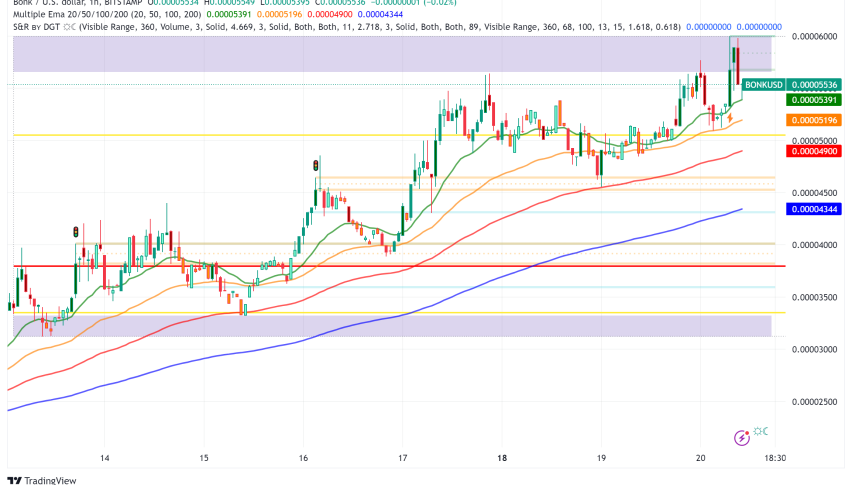 BONK Surges Past Dogwifhat to Become Solana's Biggest Memecoin Amid Historic Rally