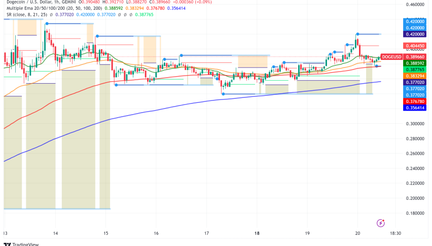 Dogecoin Surges 6% in a Week: Technical Analysis Points to Potential All-Time Highs