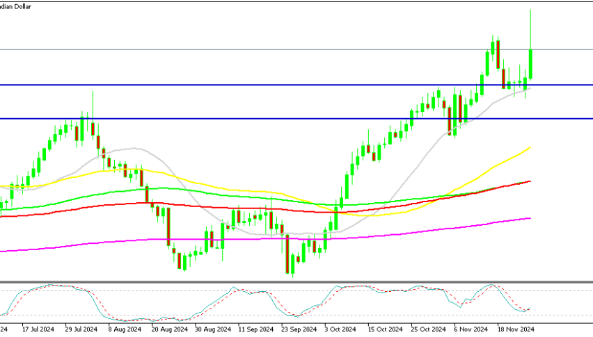 USD/CAD Chart Daily