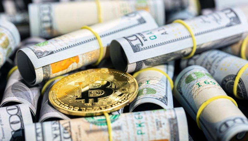 Buy Bitcoin Cash - A Step by Step Guide for 2025