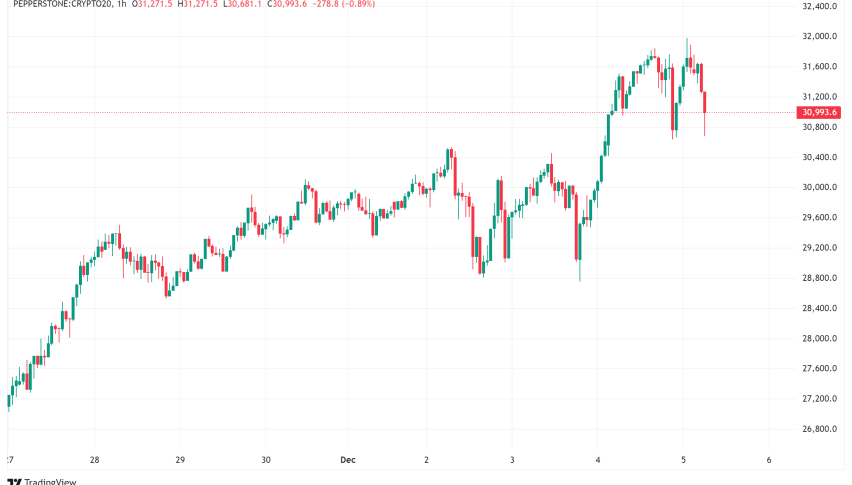 Daily Crypto Signals: BTC Nears $100K, Altcoin Season, and Crypto Market Trends for 2025