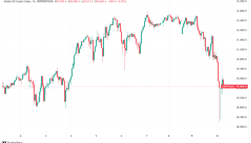 Daily Crypto Signals: Bitcoin's Bull Run and Altcoin Excitement