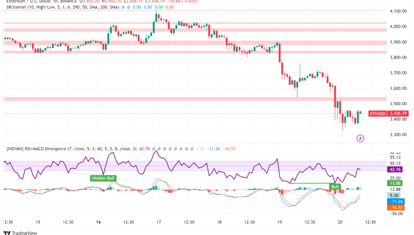 Ethereum Price Analysis: Institutional Adoption Rises Despite Market Turbulence
