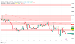 Cardano Price Prediction: Whale Accumulation Signals Investor Confidence