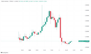Musk's 'Kekius Maximus' Name Change Triggers $3M Crypto Windfall