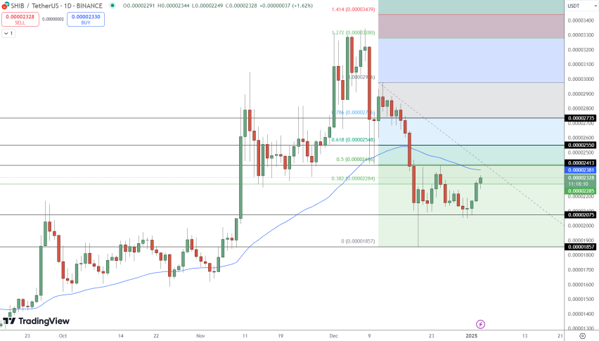 Shiba Inu Price Chart - Source: Tradingview