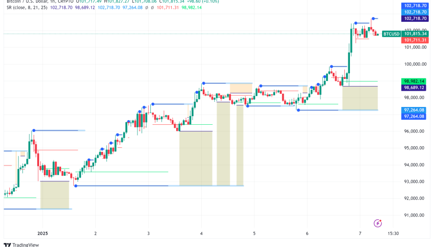 Bitcoin Price Analysis: BTC Surpasses $102,000, 2025 Opens with Renewed Momentum