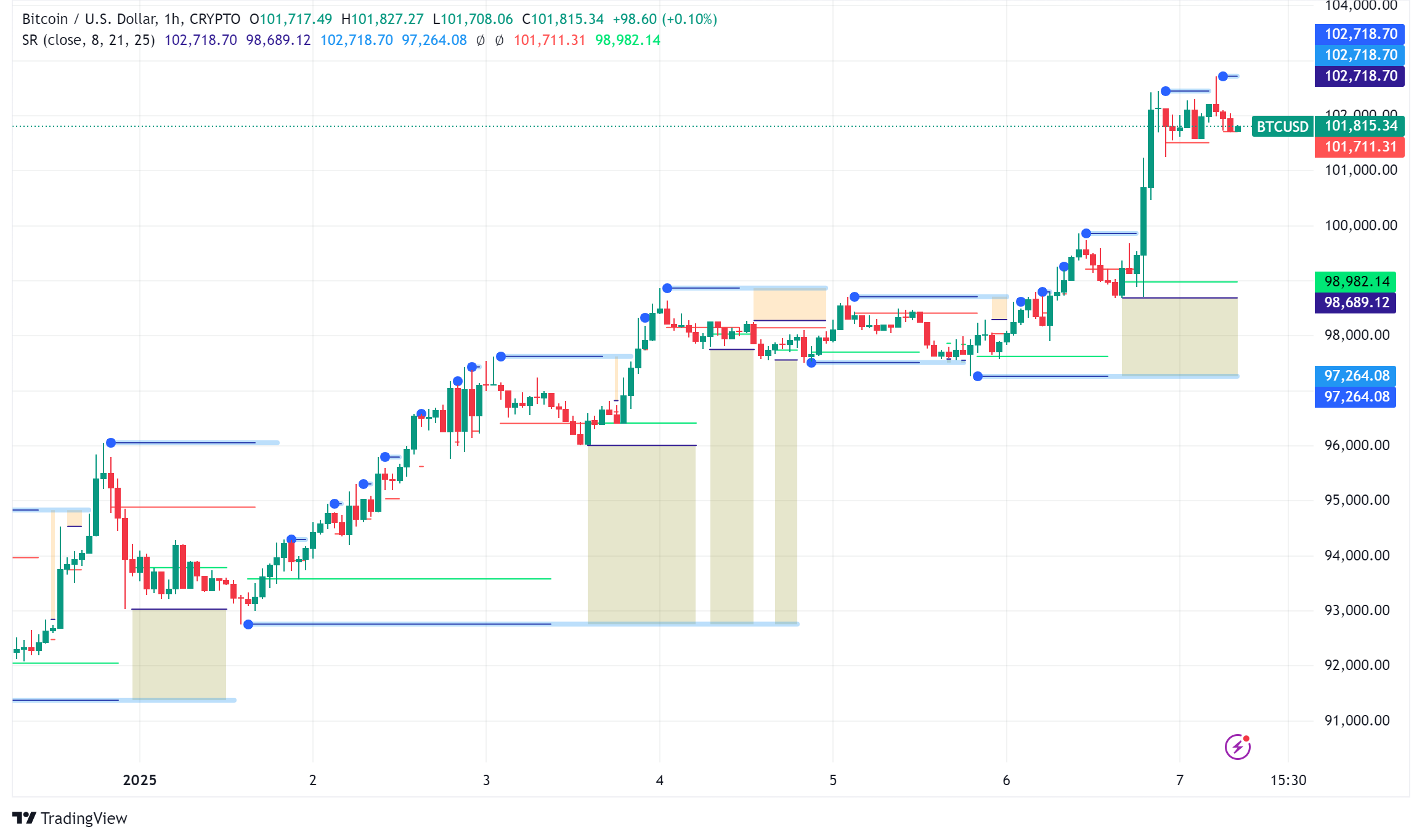 Bitcoin Price Analysis: BTC Surpasses $102,000, 2025 Opens with Renewed Momentum