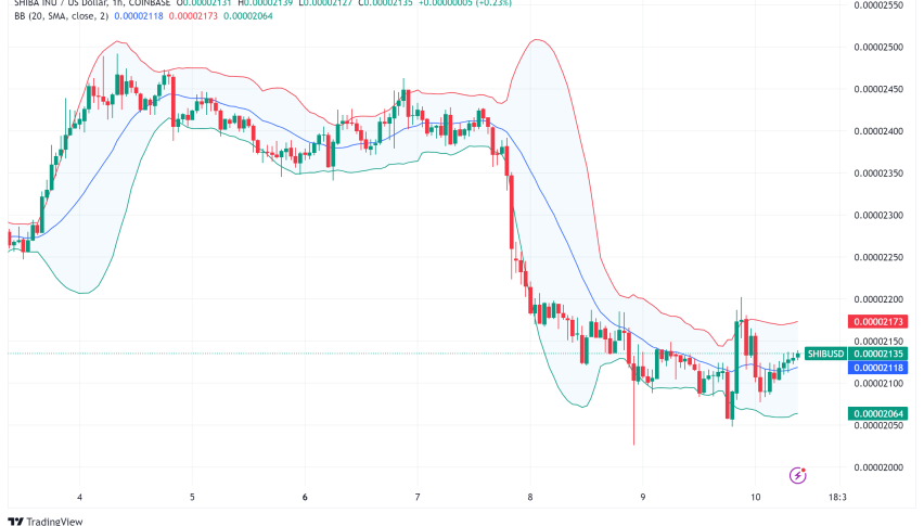 Shiba Inu at Crucial Turning Point: Whales Accumulate SHIB as TREAT Launch Approaches