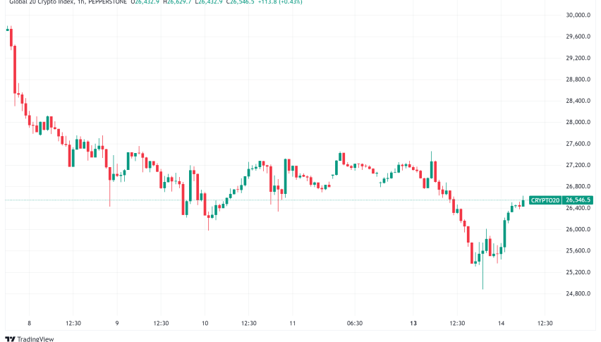 Daily Crypto Signals: BTC Below $90K, ETH Price Correction, but XRP Defies Trend