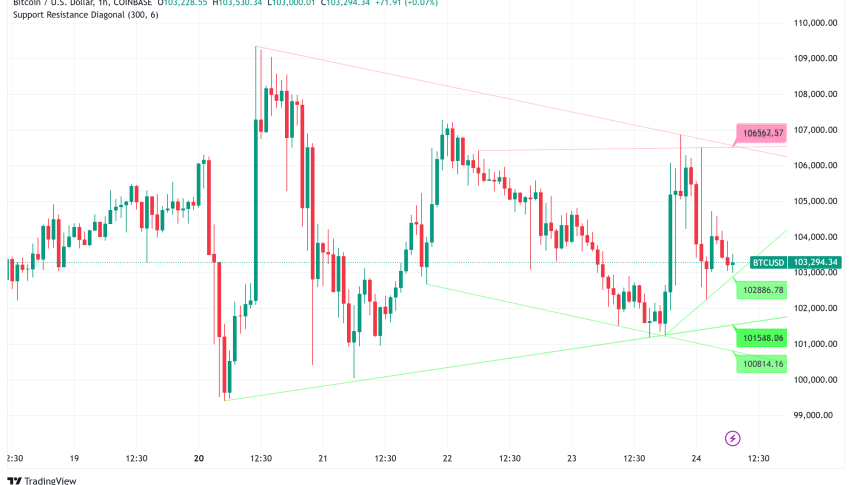 Bitcoin Price Analysis: BTC at Crossroads After Trump Signs Digital Asset Executive Order