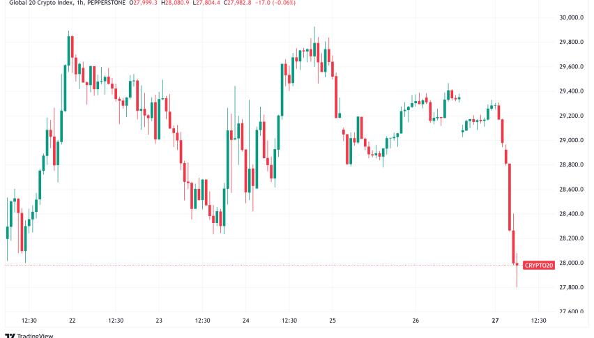 Daily Crypto Signals: Bitcoin Consolidates Near $104K While Altcoins Show Mixed Signals