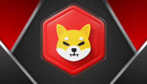 Recovery for Shiba Inu