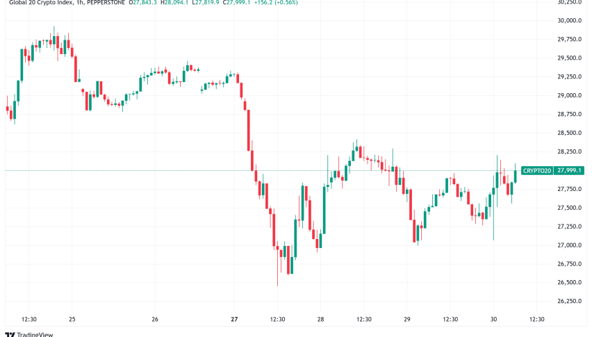 Daily Crypto Signals: Bitcoin Surges Past $104K, XRP Hits $3.10 as Trump Expands Crypto Initiatives