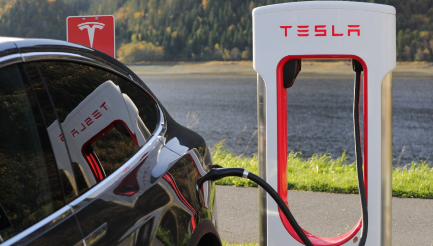 Tesla shares were among the few gainers today
