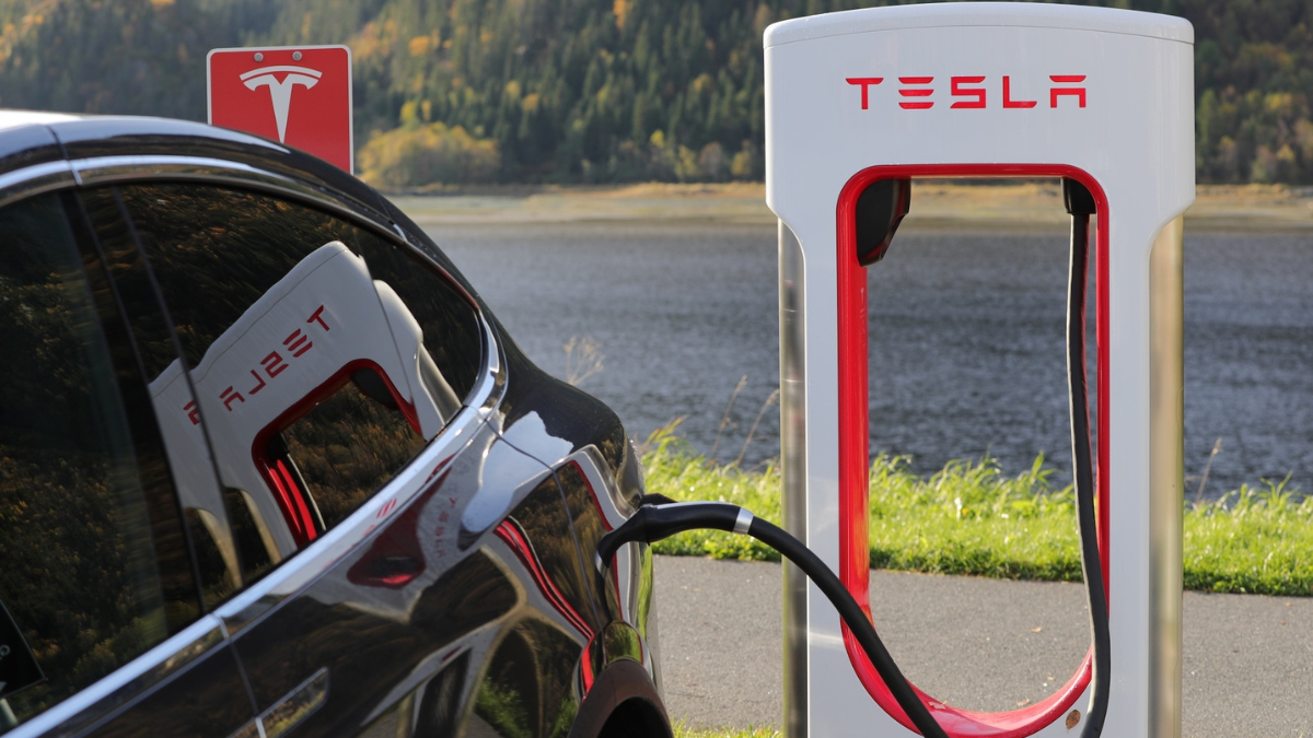 Tesla shares were among the few gainers today
