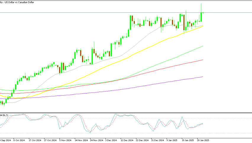 USD/CAD Daily Chart