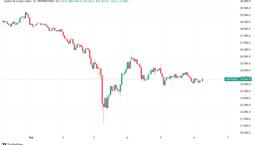 Daily Crypto Signals: Bitcoin Dips, Whales Stir