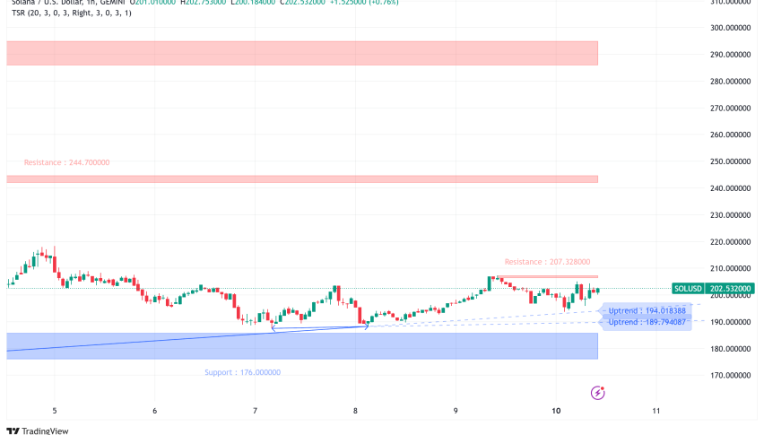 Solana's 30% Correction Sets Stage for Potential 91% Rally to $387?