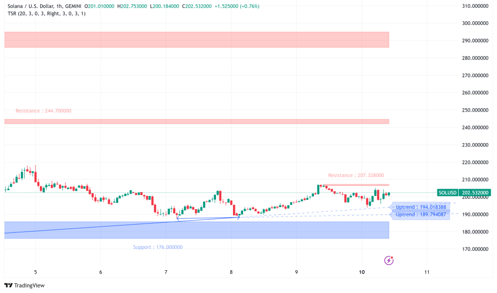 Solana's 30% Correction Sets Stage for Potential 91% Rally to $387?