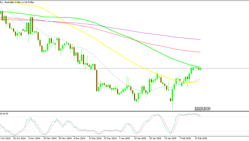 AUD/USD has paused at the 100 daily SMA this week