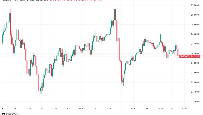 Daily Crypto Signals: Bitcoin at $96K as Bybit Hack Rocks Crypto Markets