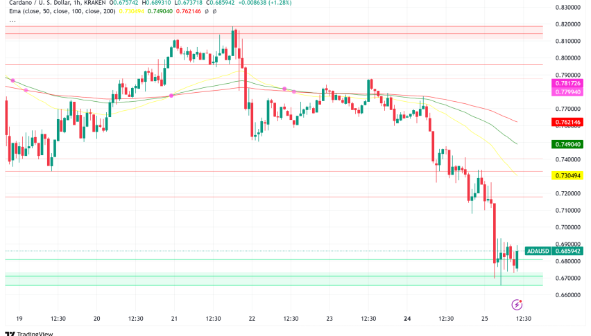 SEC Acknowledges Grayscale's Spot Cardano ETF Filing, Sparking Optimism for ADA's Future
