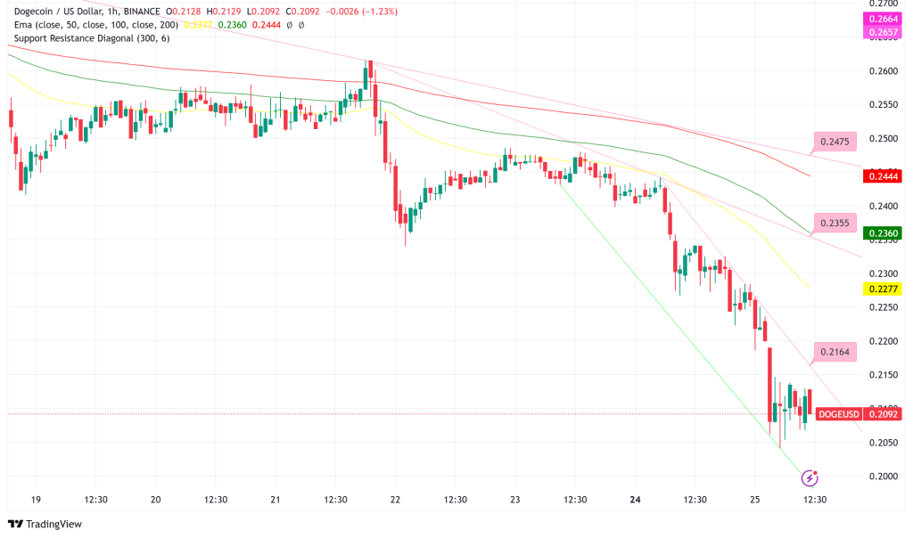 Dogecoin Technical Analysis Points to Potential 404% Surge to $1.11 by March 20