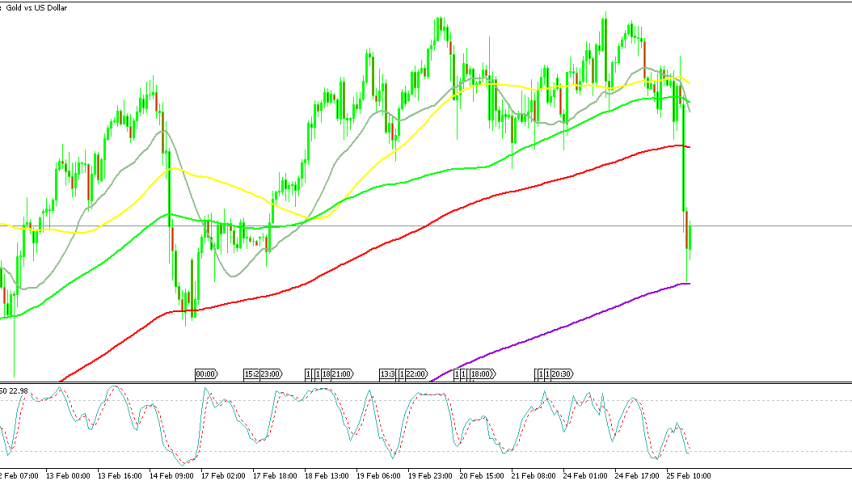 Gold starts to bounce off the 100 SMA