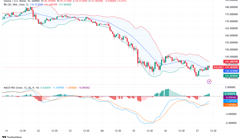 Solana Plunges 20% to Five-Month Low as Transfer Volume Collapses 99% from $1.99B to $14.5M