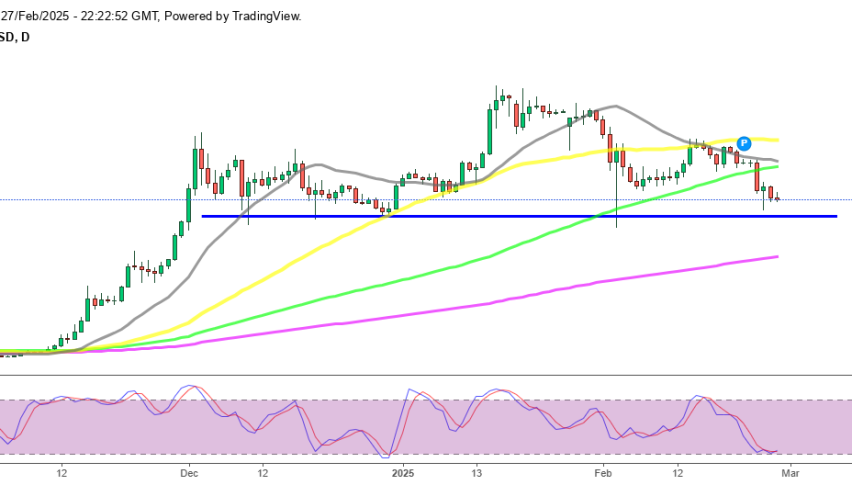 Ripple XRP Daily Chart