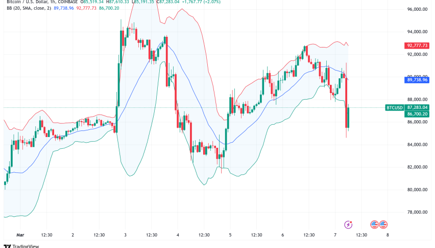 Trump's Bitcoin Reserve Plan Fails to Excite the Crypto Market