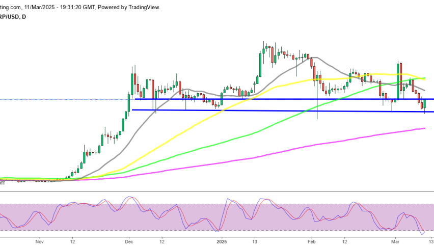 Ripple XRP Chart Daily