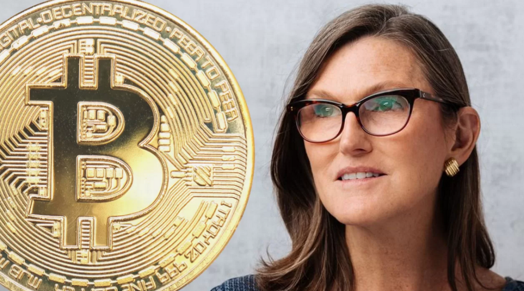 Cathie Wood and Bitcoin.