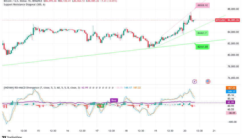 Bitcoin Holds Above $85,000 Amid Shifting Market Dynamics and Evolving Holder Behavior
