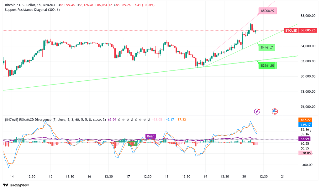 Bitcoin Holds Above $85,000 Amid Shifting Market Dynamics and Evolving Holder Behavior