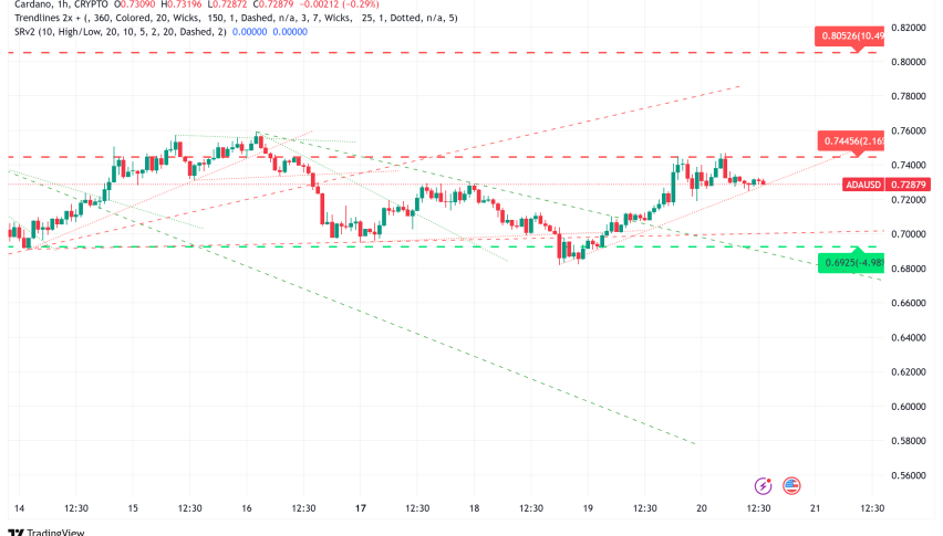 Cardano Sees Strong Whale Accumulation, Can ADA Price Test $0.88?