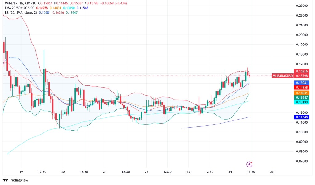 Mubarak Token Surges 25% as Major Crypto Players Show Interest
