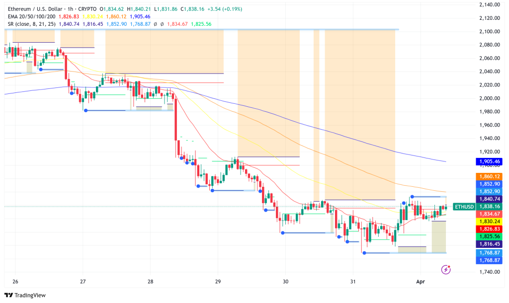 Ethereum Support at $1,800 Holds Amid Privacy Tool Launch and Robust Layer-2 Activity