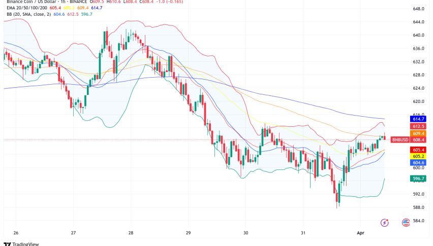 BNB Holds Strong Above $600 Amid Memecoin Surge and CZ's Market Moves