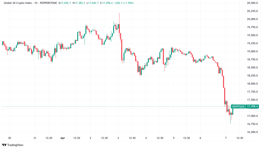 Daily Crypto Signals: Bitcoin Drops Below $80K Amid Stock Market Fears, XRP Faces Potential 25% Decline
