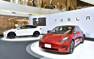 TSLA stock has formed a strong support zone as Tesla prepares to launch cheaper EV cars