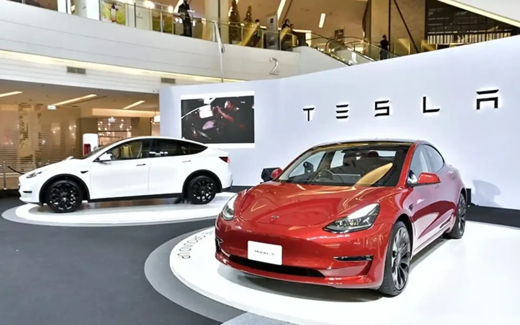 TSLA stock has formed a strong support zone