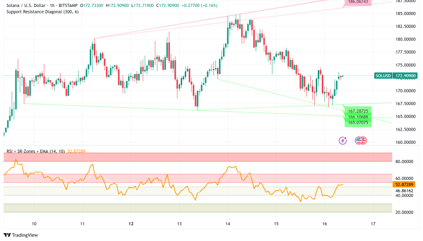 Solana Maintains Market Dominance Despite Recent Pullback: $200+ Next Target?