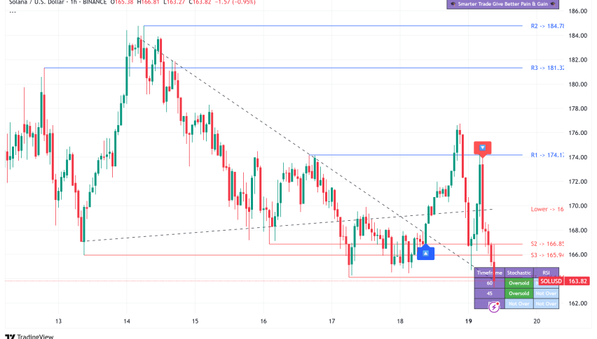 Solana at Crucial Support: On-Chain Metrics Signal Bullish Momentum Despite Price Dip