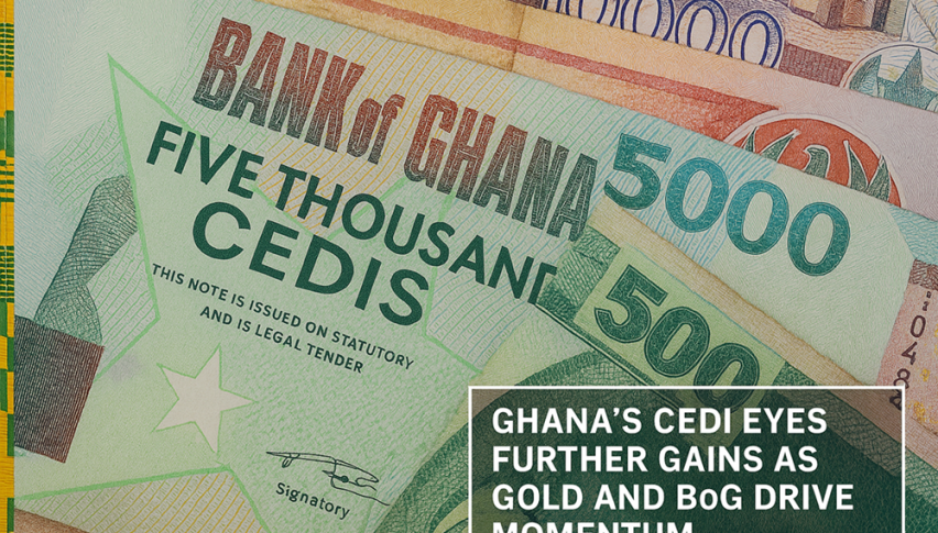 Cedi Powers Ahead on Macro Moves, Sets Sights on GHC8.30